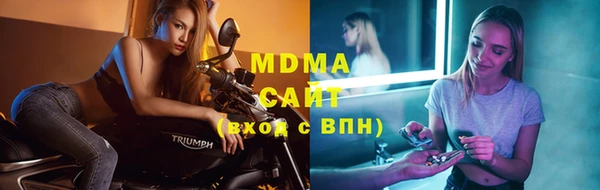 стаф Пересвет