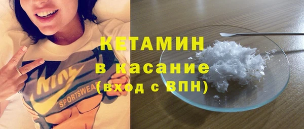 стаф Пересвет